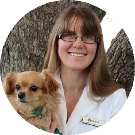 Dr. Janet Troxel at East Valley Pet Hospital